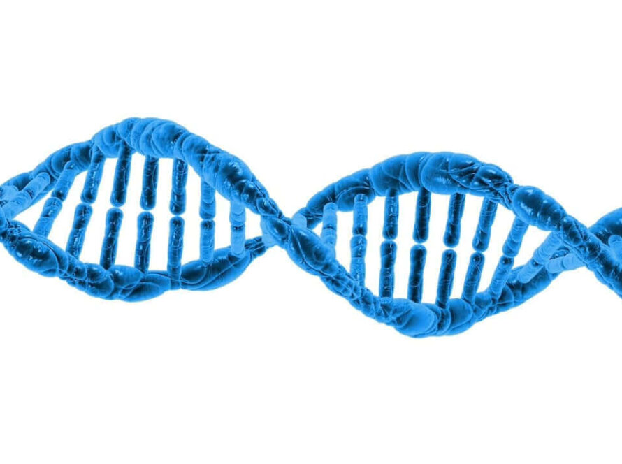 protein_dna_strand