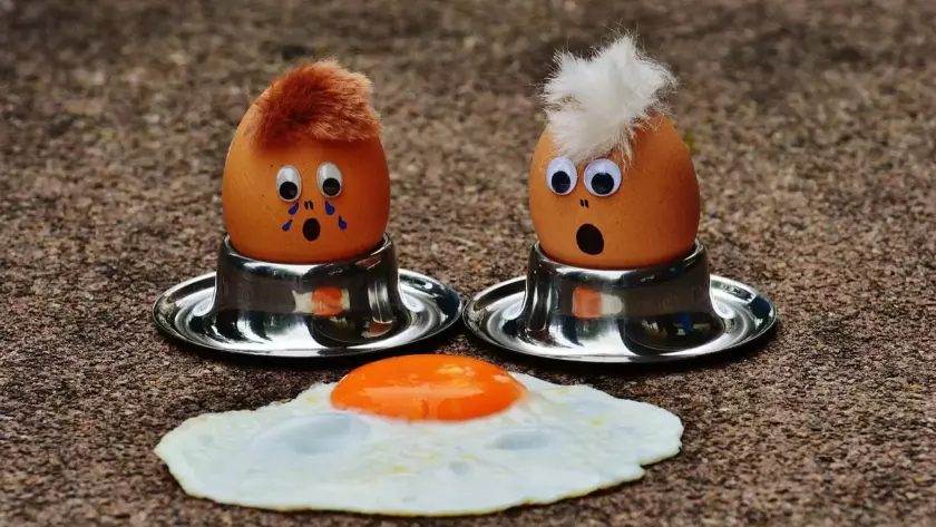 eggs article featured image