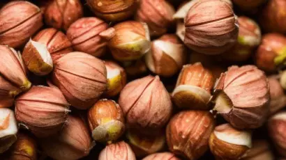 hazelnuts High Protein Foods