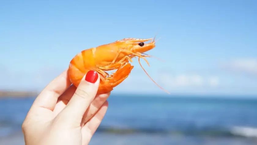 prawns health benefits featured image