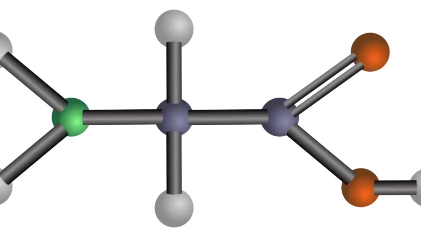 amino acids featured image